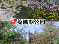 -荔湾湖公园