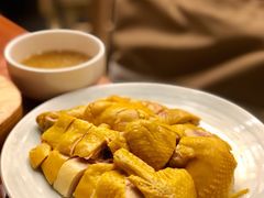 葱油走地鸡-潮堂(环球金融中心店)