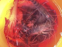 -小象钓虾·营地烧烤(洛溪店)