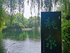 -百脉泉景区
