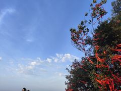 -缙云山景区