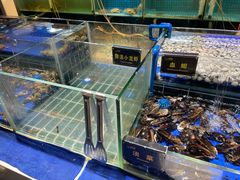 -九月海·海鲜自助(世纪东方店)