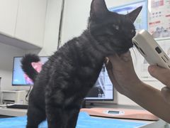 -达爱动物医院·犬猫分区·CT·复杂眼科(远洋山水分院)