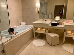 -拉斯维加斯永利酒店