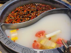 -销魂美蛙鱼头火锅(上海首店)