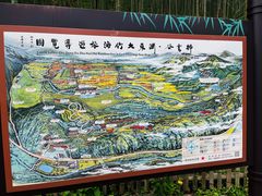 -宁波浙东大竹海景区