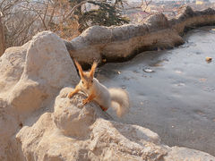 -信号山公园