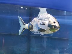 -浙江省科技馆