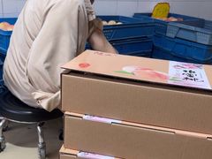 -老袁家蜜桃农场·阳山水蜜桃