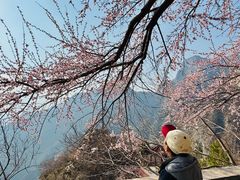 -圣莲山风景区