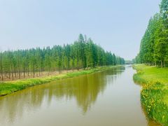 -黄海国家森林公园