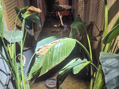 -邈墨茶馆(凤起路店)