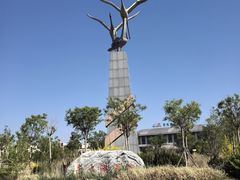 -南大港湿地风景区