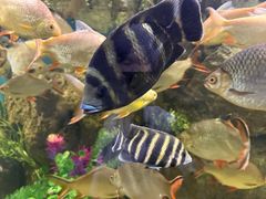 -石林冰雪海洋世界