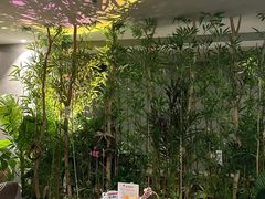 -施奈儿.洗头頭療.按摩SPA.采耳(上梅林店)