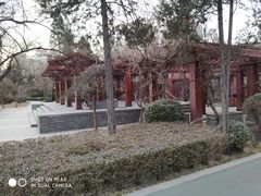 -迎泽公园