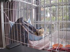 -1013 PET SHOP 宠物商店(近铁城市广场店)