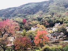 -塔川景区