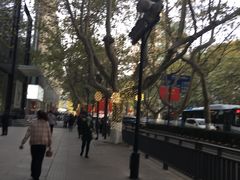 -金鹰超市(国际购物中心新街口店)