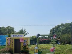 -洪湖家庭农场·团建·露营·会议