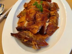 -圆苑(金茂店)