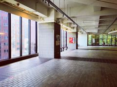 -香港大学