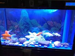 -宜昌富力皇冠假日酒店·咖啡1号西餐厅