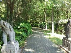 -白马涧龙池景区