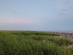 -南汇嘴观海公园