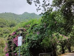 -太和古洞