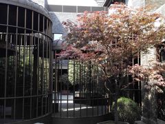 -成都观隐颐云台酒店-芳菲秀