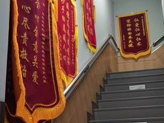 -瑞派宠物医院·中兽医专科(中央商城分院)