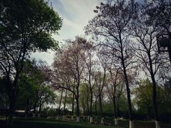 景点-沙澧河风景区