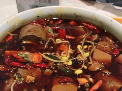 渝信毛血旺-渝信川菜(工体店)