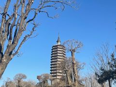 -西海子公园