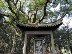 -兰亭风景区