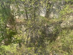 -天津盘山风景名胜区