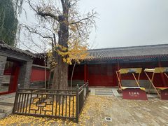 -承恩寺