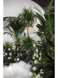 -MECCI婚礼摄影跟拍(红东方广场店)