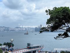 -讯号山花园