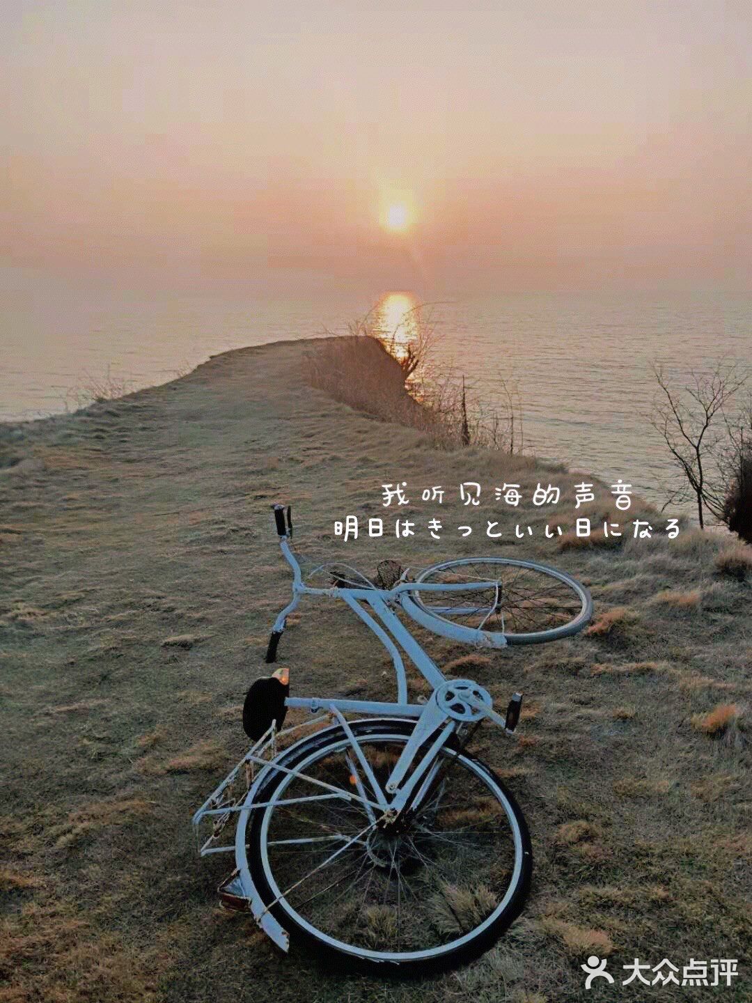 我听见海的声音👂