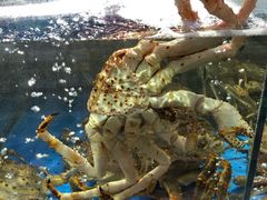 -蟹之国·精品蟹料理(极地店)