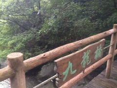 -溪口-滕头旅游景区