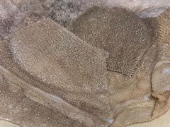 鲜毛肚-周幺妹重庆老火锅(银泰城总店)