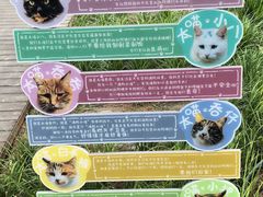 -北京市劳动人民文化宫(太庙)
