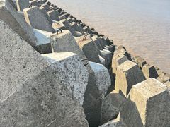 -上海滨江森林公园