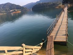 -广州市流溪河国家森林公园