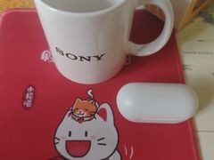 -Sony Store 索尼(上海淮海中路店)