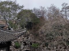 -何园