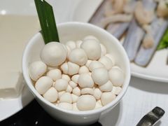 日本白本菇-协成海鲜火锅(海洋花园店)